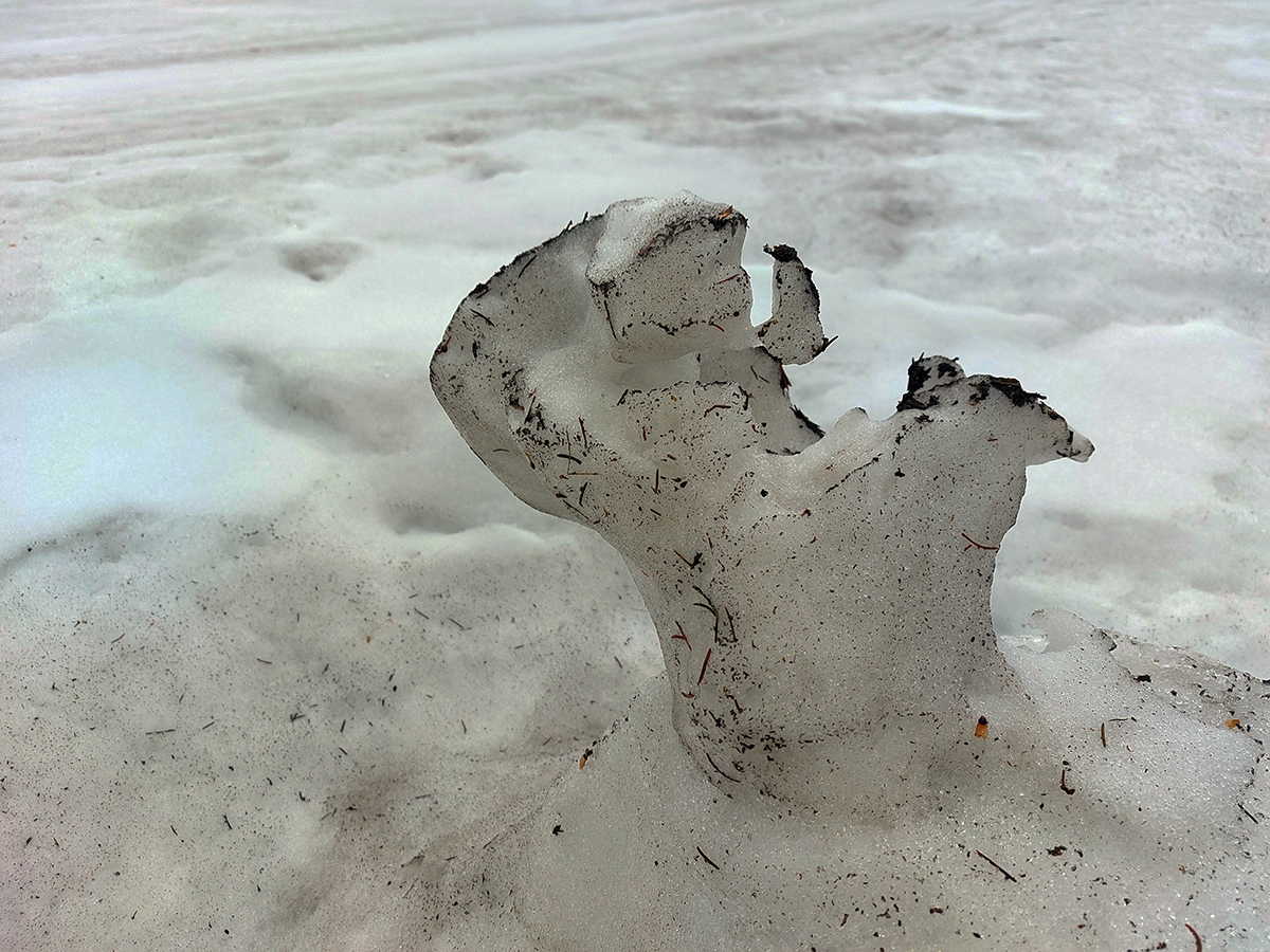 rozlucka-s-chlpatou-sezonou-na-chlpatom-snehu