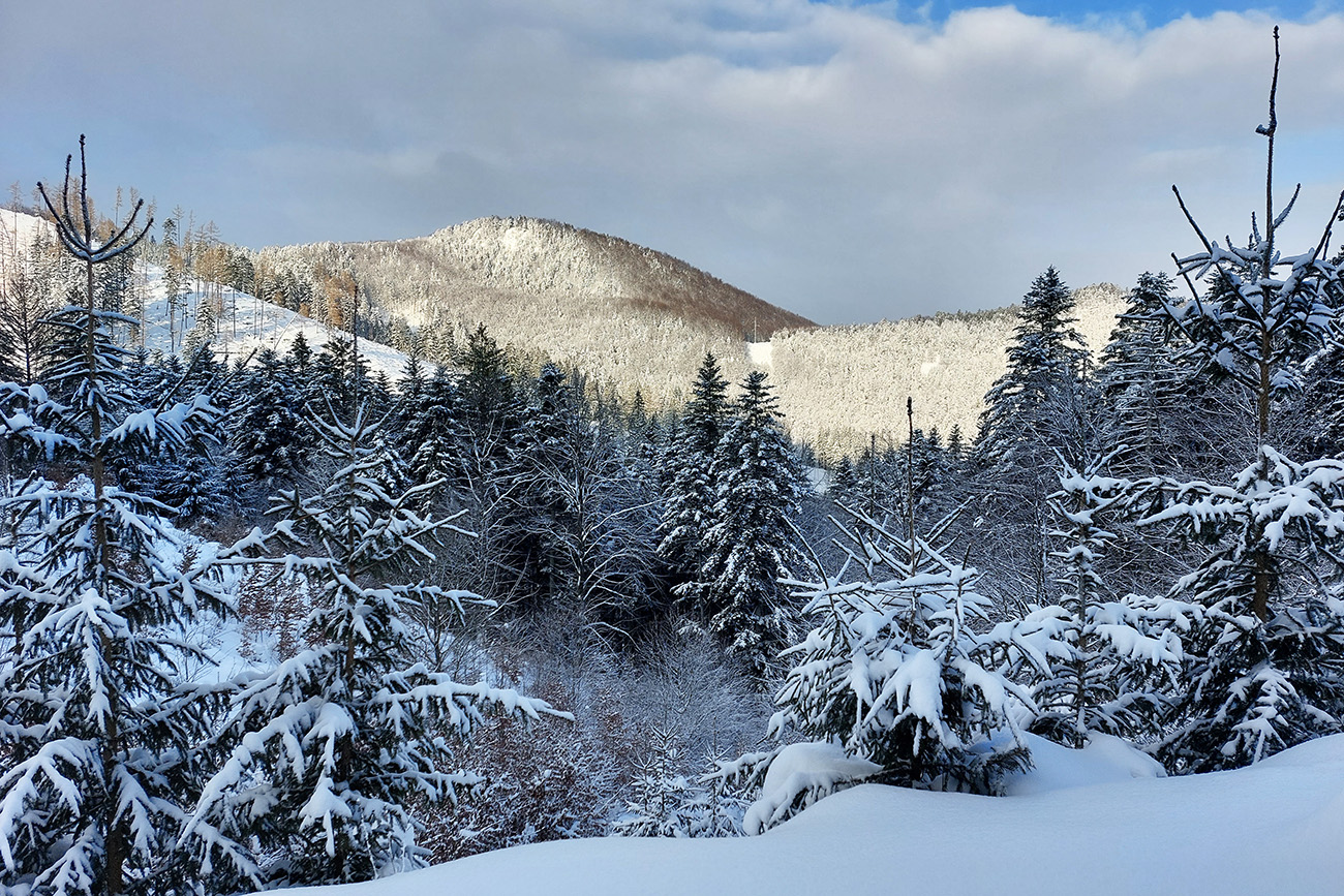 Nad druhou serpentínou otvorili sa pohľady na náprotivnú Kojšovú. Nad_druhou_serpentínou_otvorili_sa_pohľady_na_náprotivnú_Kojšovú.