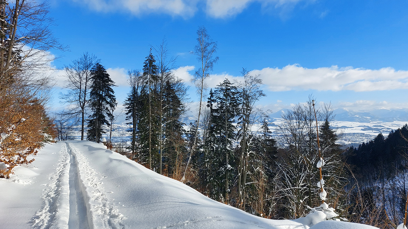 Čím bližšie dole do kotliny, tým krajšie farby. Čím_bližšie_dole_do_kotliny,_tým_krajšie_farby.