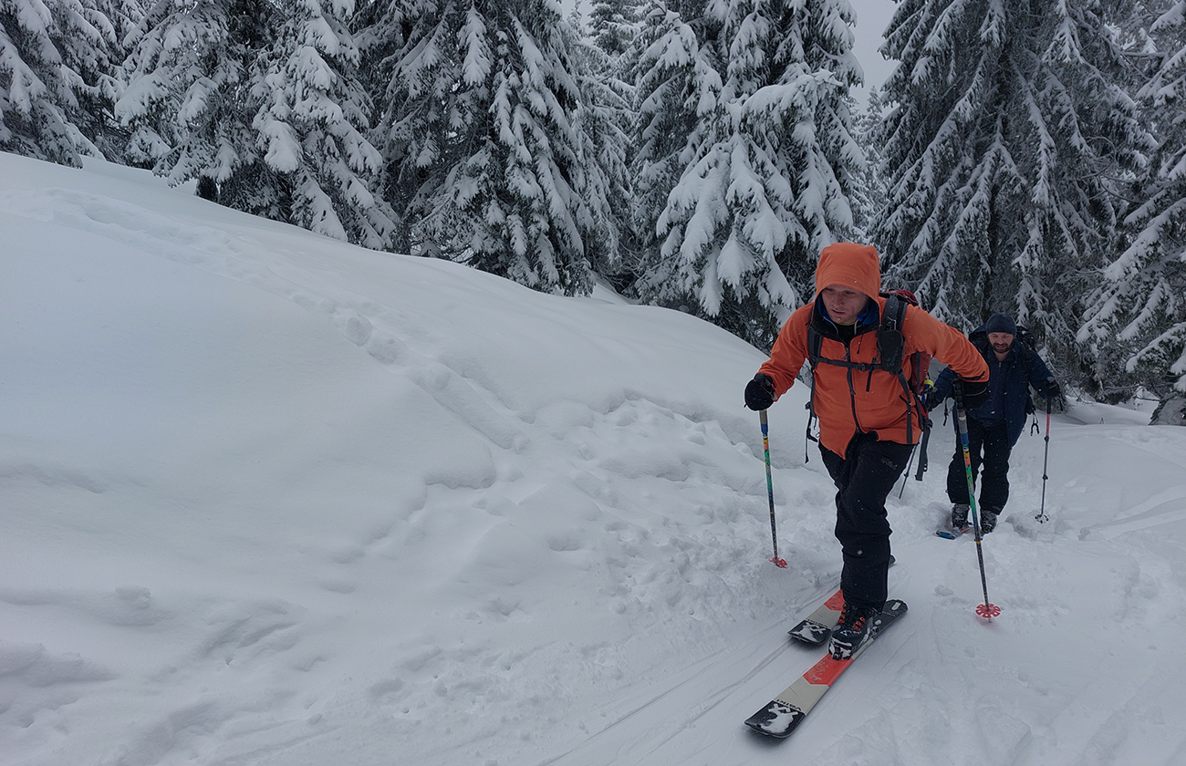 ...a vyššie v riedkolese zimná rozprávka. ...a_vyššie_v_riedkolese_zimná_rozprávka.