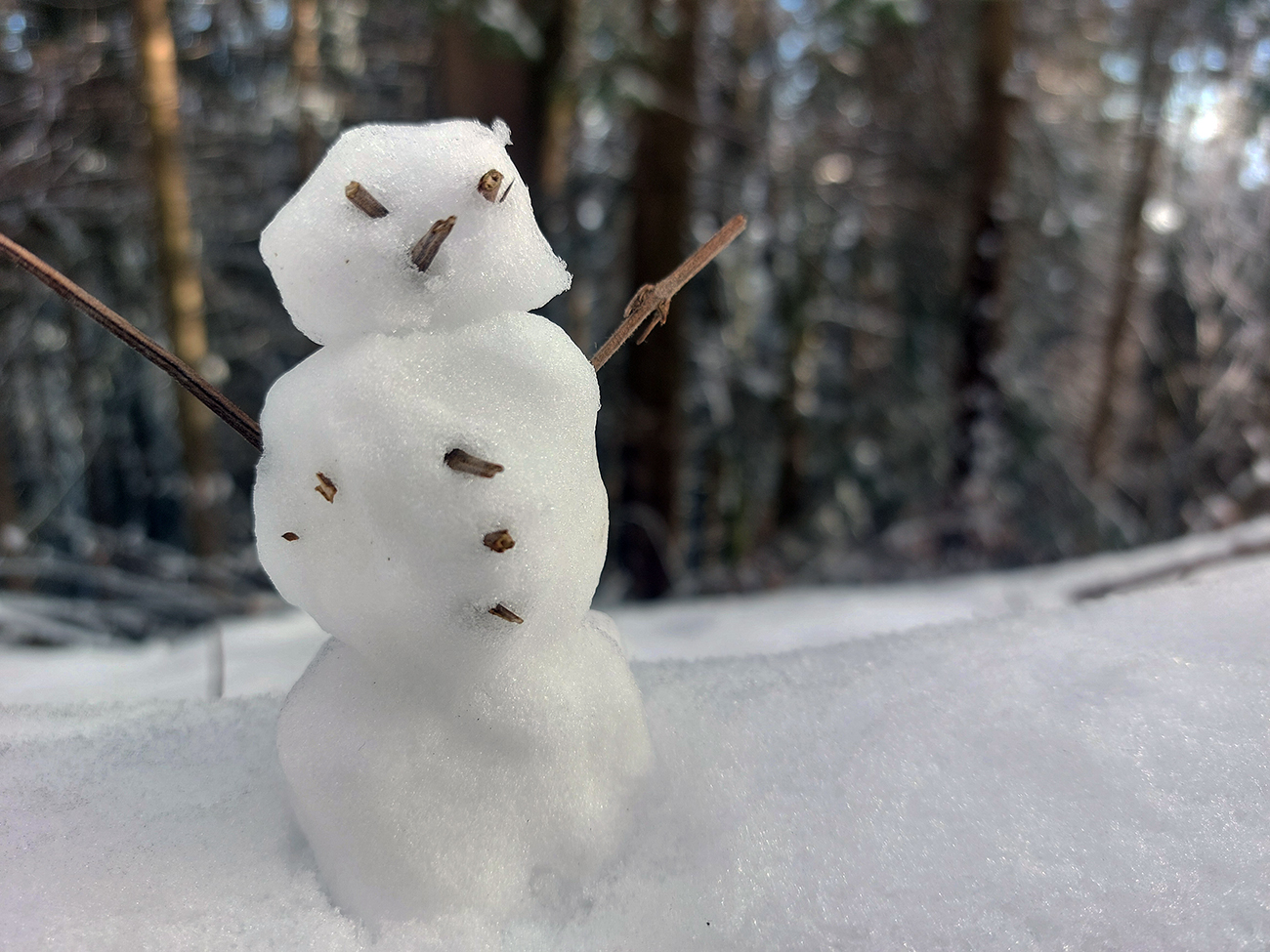 ochutnavka-druheho-snehu-na-martinskych-holiach