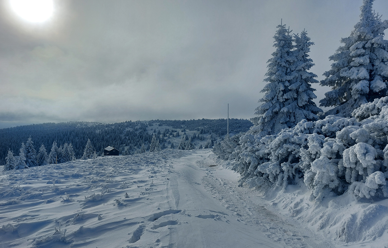 ...na_druhú_stranu_popod_kosovku_na_striedačku_bruchá_a_holiny.